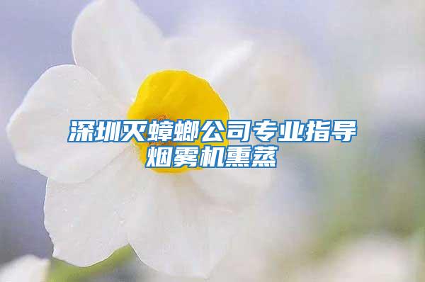 深圳滅蟑螂公司專業(yè)指導煙霧機熏蒸