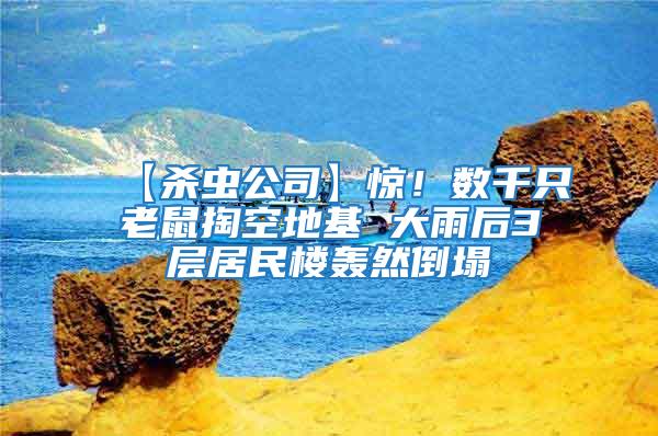 【殺蟲公司】驚！數千只老鼠掏空地基 大雨后3層居民樓轟然倒塌
