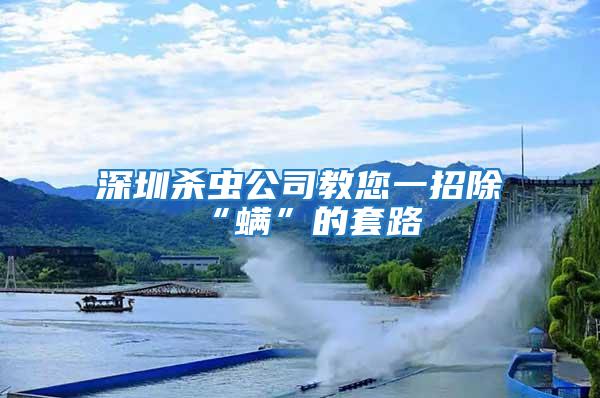 深圳殺蟲(chóng)公司教您一招除“螨”的套路