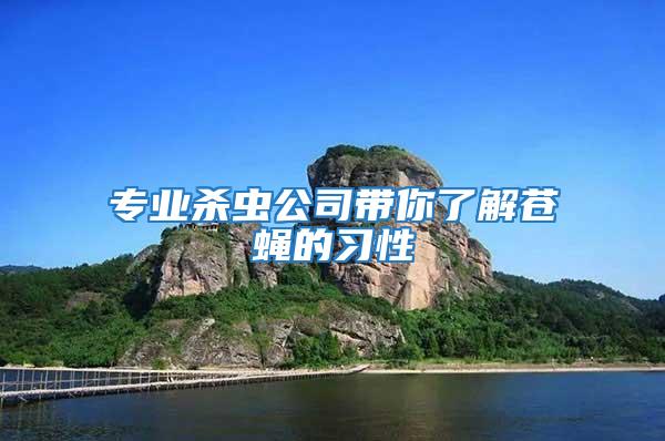 專業殺蟲公司帶你了解蒼蠅的習性
