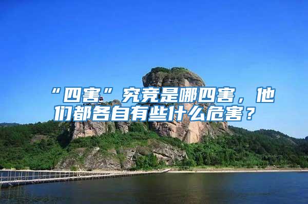 “四害”究競是哪四害，他們都各自有些什么危害？