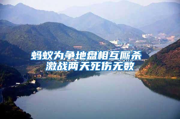 螞蟻為爭(zhēng)地盤(pán)相互廝殺 激戰(zhàn)兩天死傷無(wú)數(shù)