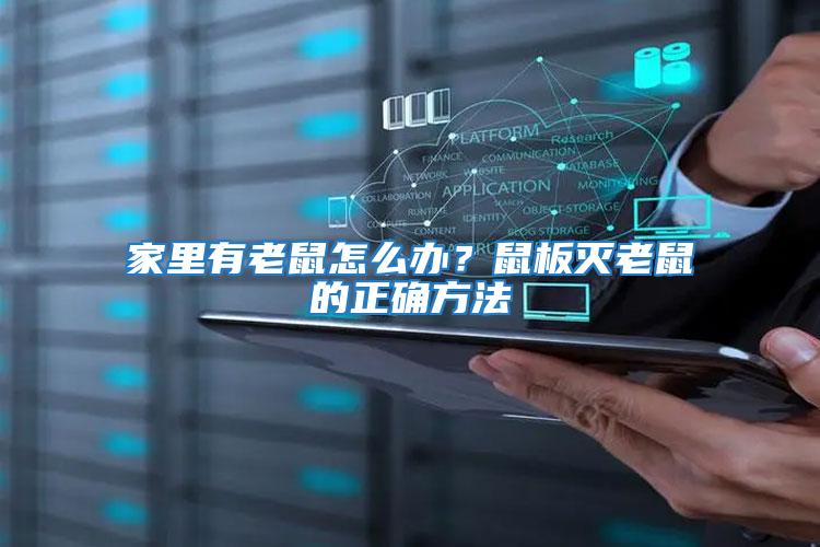 家里有老鼠怎么辦？鼠板滅老鼠的正確方法