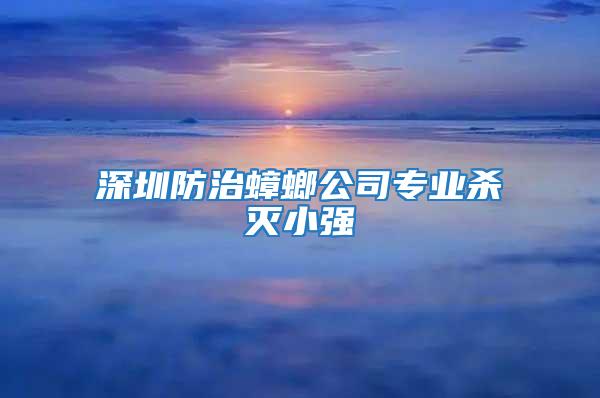 深圳防治蟑螂公司專(zhuān)業(yè)殺滅小強(qiáng)