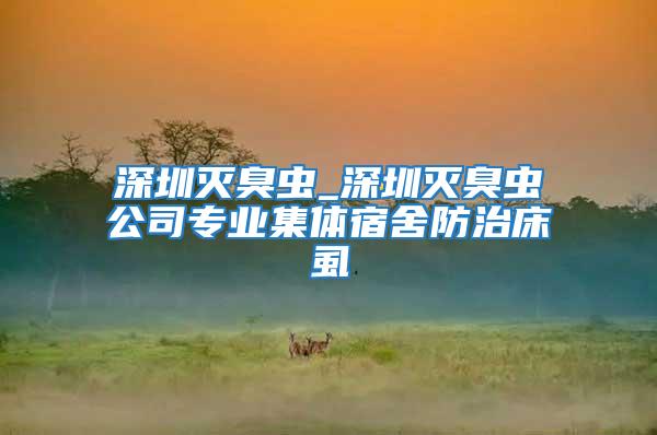 深圳滅臭蟲_深圳滅臭蟲公司專業集體宿舍防治床虱