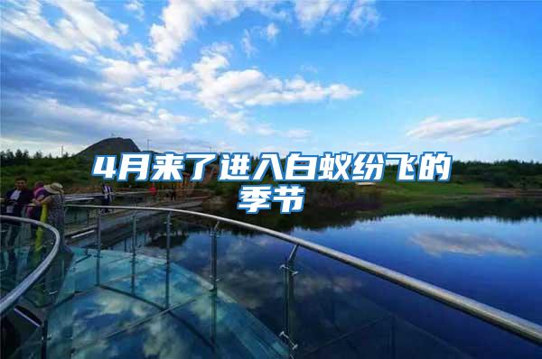 4月來了進入白蟻紛飛的季節(jié)