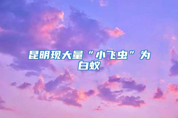 昆明現(xiàn)大量“小飛蟲(chóng)”為白蟻