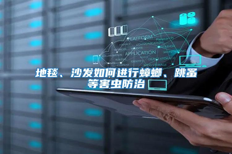 地毯、沙發如何進行蟑螂、跳蚤等害蟲防治
