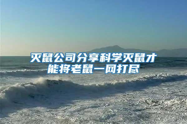 滅鼠公司分享科學滅鼠才能將老鼠一網打盡