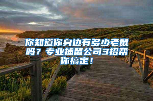 你知道你身邊有多少老鼠嗎？專業捕鼠公司3招幫你搞定！