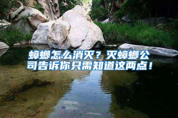 蟑螂怎么消滅？滅蟑螂公司告訴你只需知道這兩點(diǎn)！
