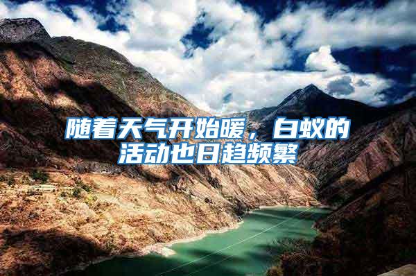 隨著天氣開始暖，白蟻的活動也日趨頻繁