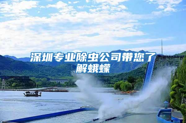 深圳專(zhuān)業(yè)除蟲(chóng)公司帶您了解蛾蠓
