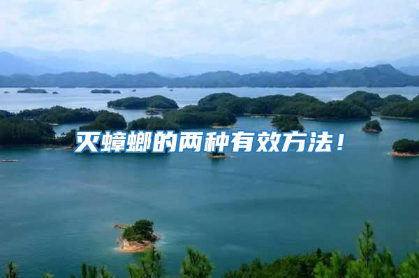 滅蟑螂的兩種有效方法！
