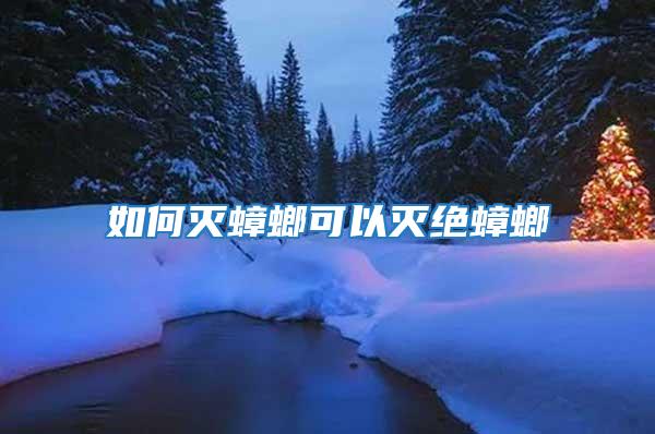 如何滅蟑螂可以滅絕蟑螂
