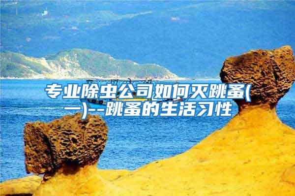 專業除蟲公司如何滅跳蚤(一)--跳蚤的生活習性