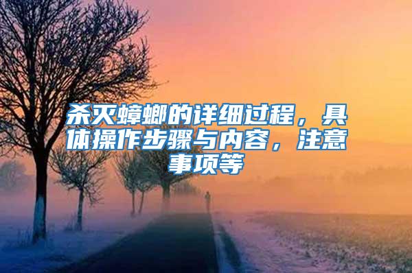 殺滅蟑螂的詳細(xì)過程，具體操作步驟與內(nèi)容，注意事項等