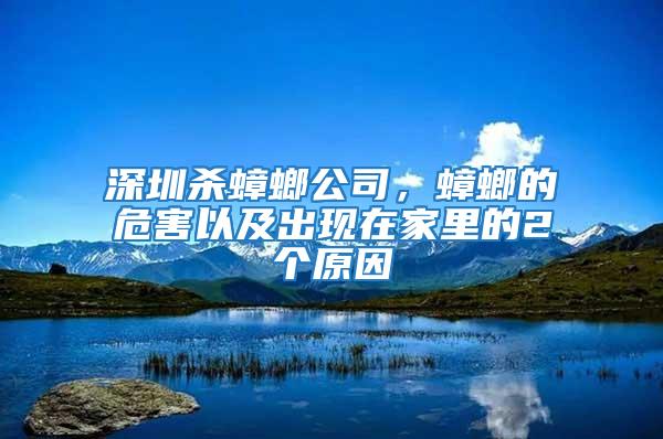 深圳殺蟑螂公司，蟑螂的危害以及出現(xiàn)在家里的2個原因