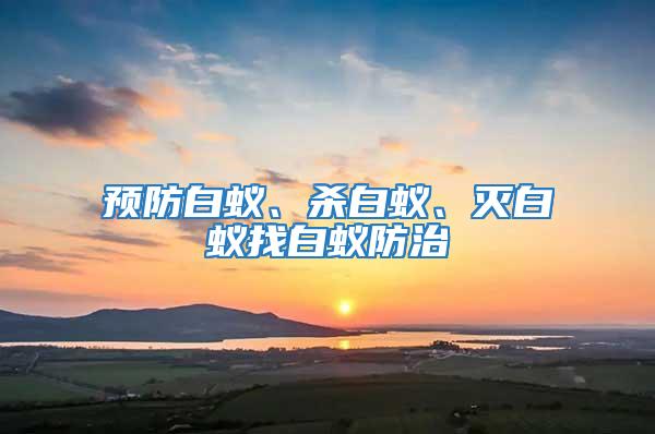 預防白蟻、殺白蟻、滅白蟻找白蟻防治