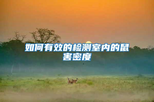如何有效的檢測(cè)室內(nèi)的鼠害密度