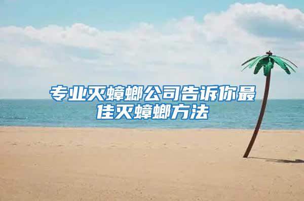 專業滅蟑螂公司告訴你最佳滅蟑螂方法