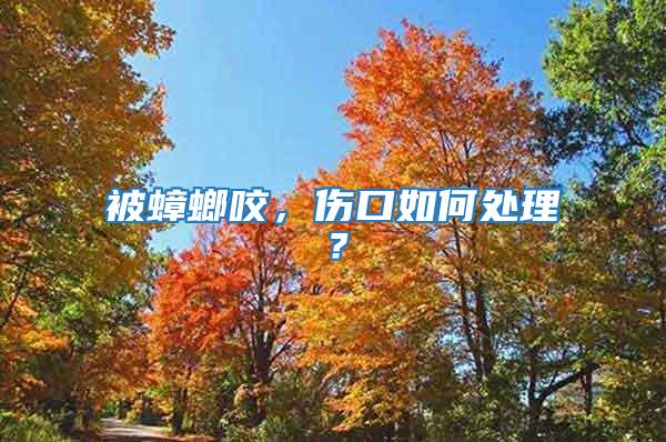 被蟑螂咬，傷口如何處理？