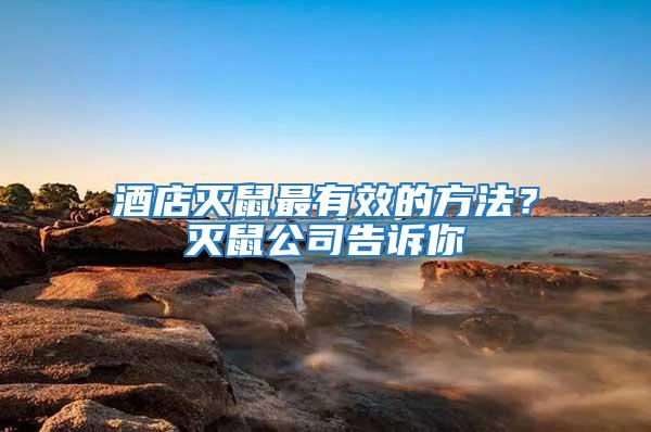 酒店滅鼠最有效的方法？滅鼠公司告訴你