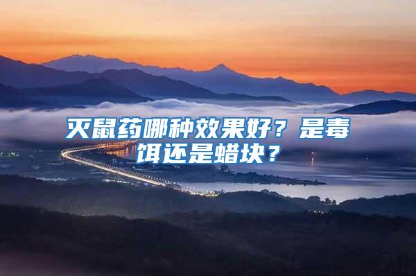 滅鼠藥哪種效果好？是毒餌還是蠟塊？