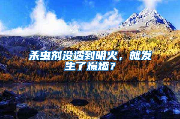 殺蟲劑沒遇到明火，就發生了爆燃？