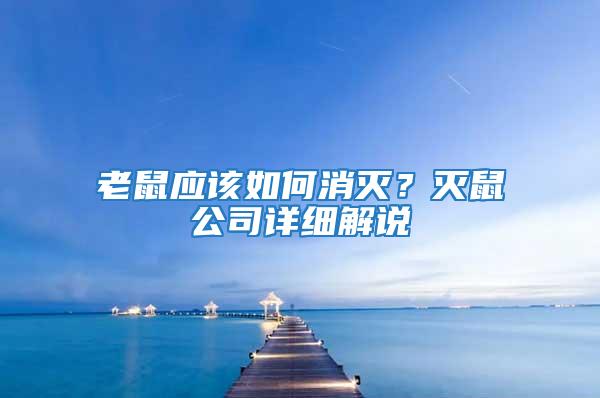 老鼠應(yīng)該如何消滅？滅鼠公司詳細(xì)解說