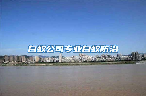 白蟻公司專業白蟻防治