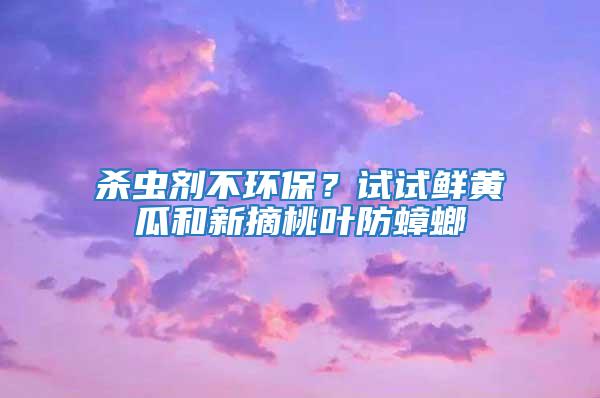 殺蟲劑不環(huán)保？試試鮮黃瓜和新摘桃葉防蟑螂