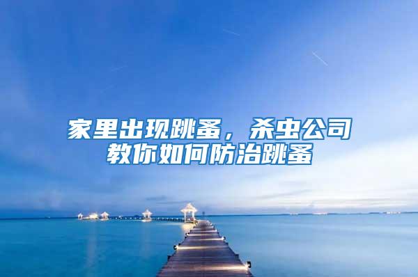家里出現(xiàn)跳蚤，殺蟲(chóng)公司教你如何防治跳蚤