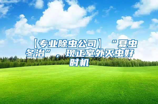 【專業(yè)除蟲公司】“夏蟲冬治”，現(xiàn)正室外滅蟲好時機