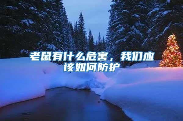 老鼠有什么危害，我們應(yīng)該如何防護(hù)
