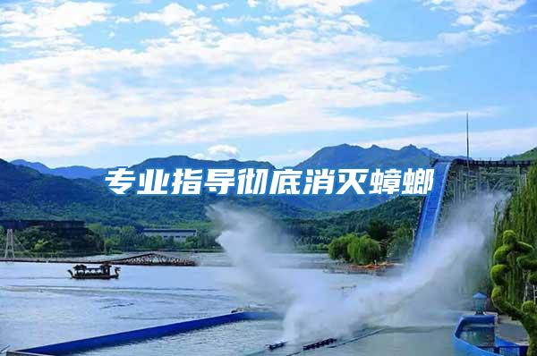 專業(yè)指導(dǎo)徹底消滅蟑螂