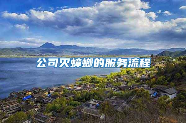 公司滅蟑螂的服務流程