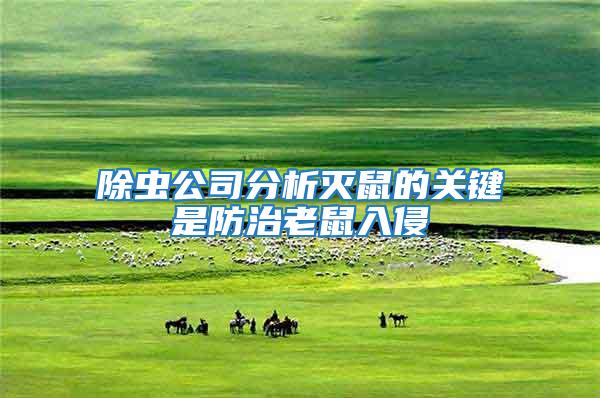 除蟲(chóng)公司分析滅鼠的關(guān)鍵是防治老鼠入侵