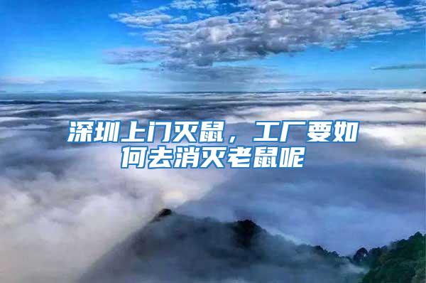 深圳上門滅鼠，工廠要如何去消滅老鼠呢