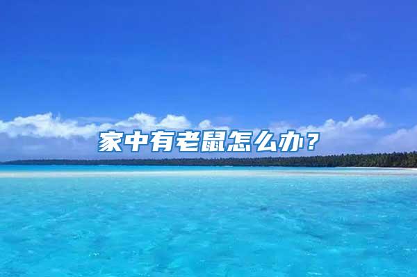 家中有老鼠怎么辦？