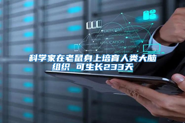 科學(xué)家在老鼠身上培育人類大腦組織 可生長233天