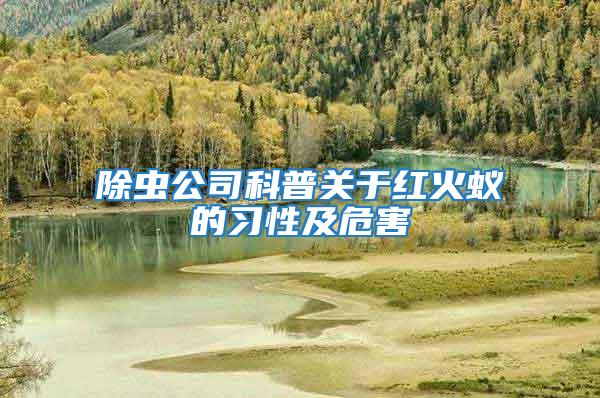 除蟲(chóng)公司科普關(guān)于紅火蟻的習(xí)性及危害