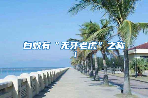 白蟻有“無(wú)牙老虎”之稱(chēng)！