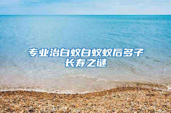 專業(yè)治白蟻白蟻蟻后多子長壽之謎
