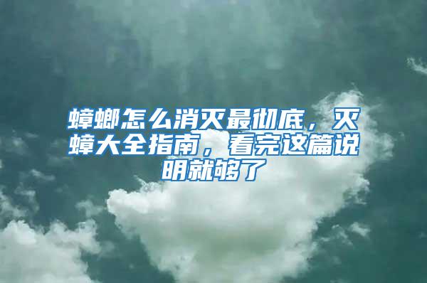 蟑螂怎么消滅最徹底，滅蟑大全指南，看完這篇說明就夠了