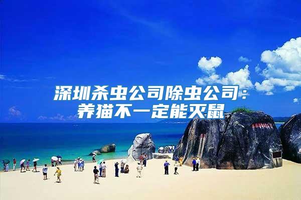 深圳殺蟲公司除蟲公司：養貓不一定能滅鼠