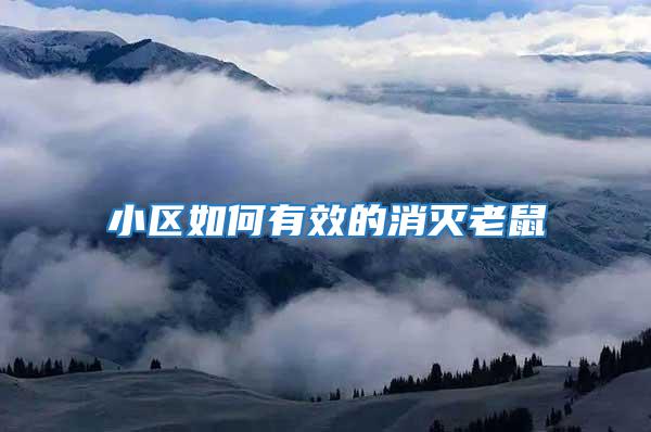 小區如何有效的消滅老鼠