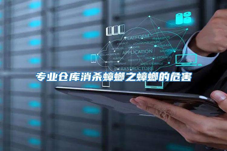 專業倉庫消殺蟑螂之蟑螂的危害