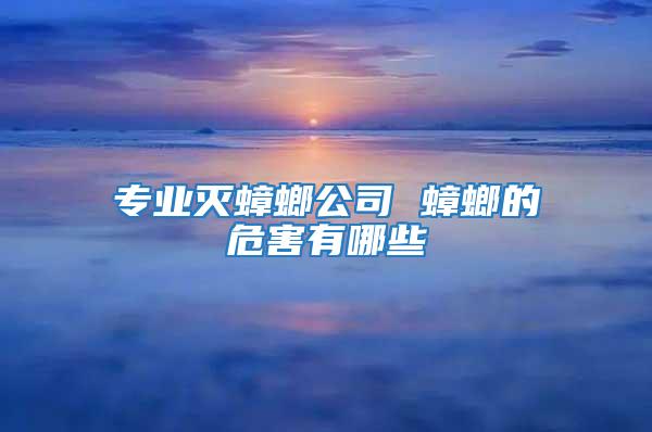 專業滅蟑螂公司 蟑螂的危害有哪些