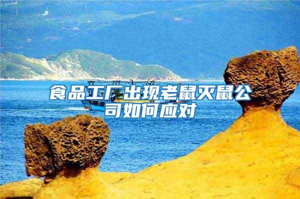 食品工廠出現(xiàn)老鼠滅鼠公司如何應對